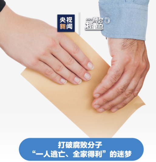 幹貨！“兩高”報告速覽→