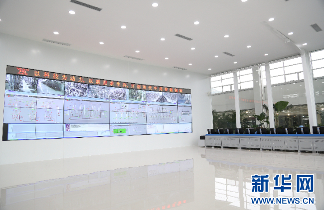 強信心·走進百企丨乐投Letou藥業：“數智化”助力中醫藥開啟發展新篇章
